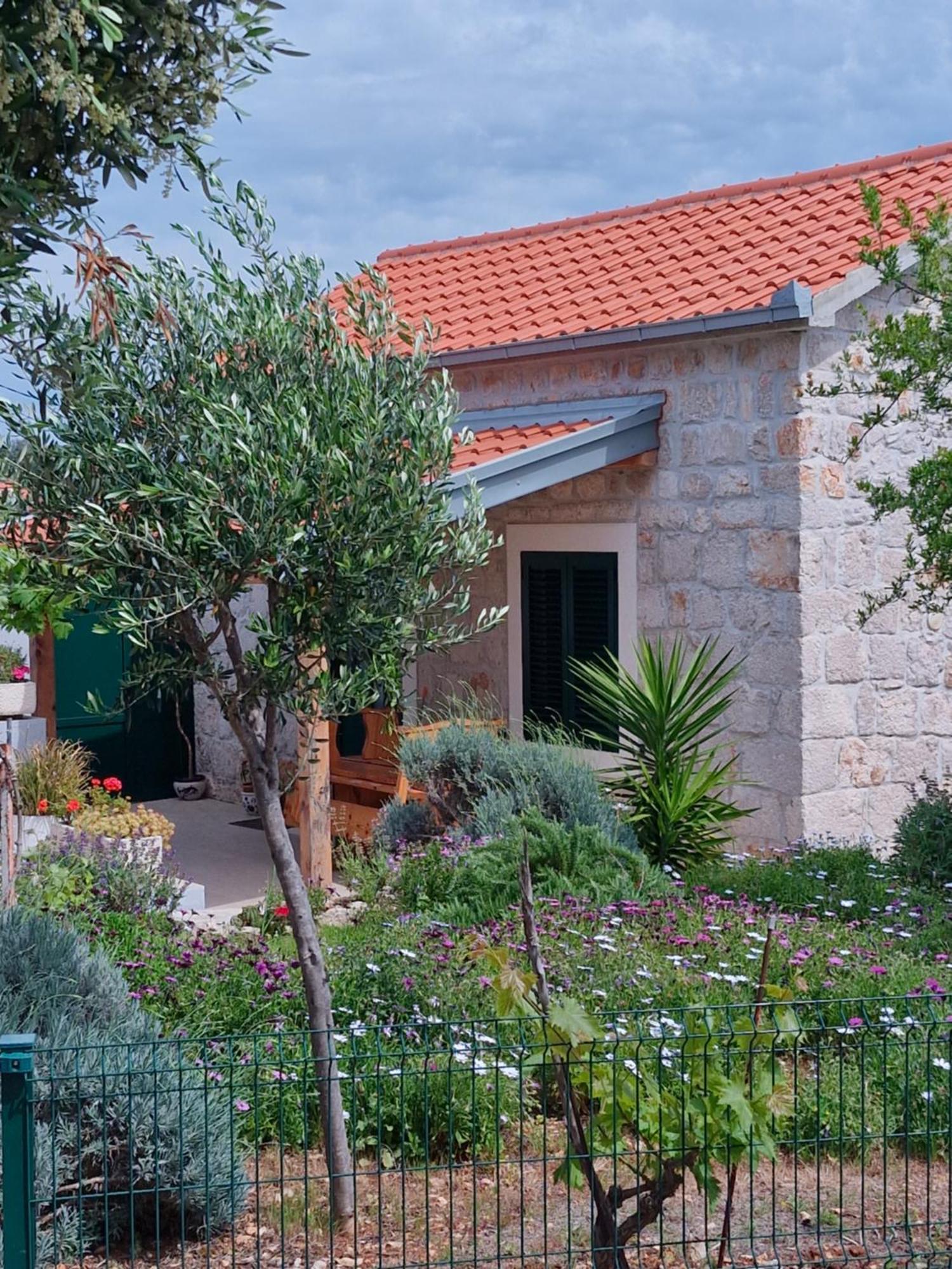 Kuca Za Odmor Maruska Villa Mali Drvenik Bagian luar foto